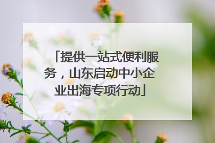 提供一站式便利服务，山东启动中小企业出海专项行动
